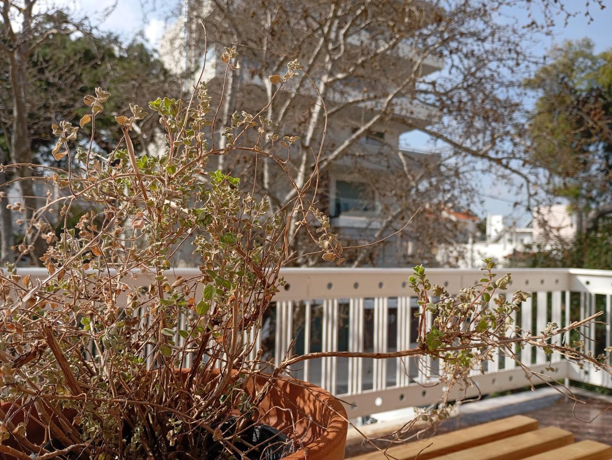 Tiny Little Suite Athen Exterior foto